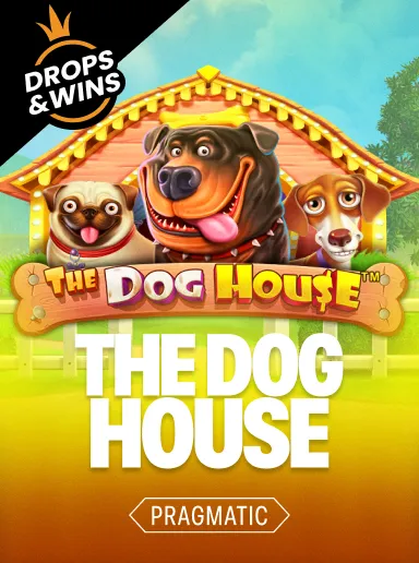 Lucky Bear — The Dog House